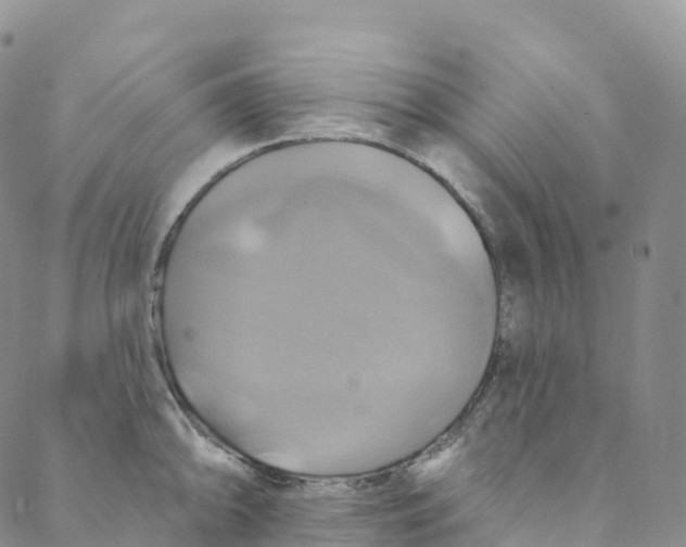 X0000088471094200706121523