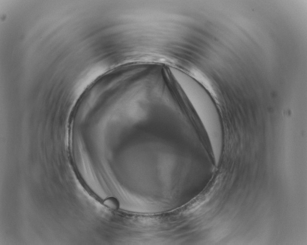 X0000088471095200706121523