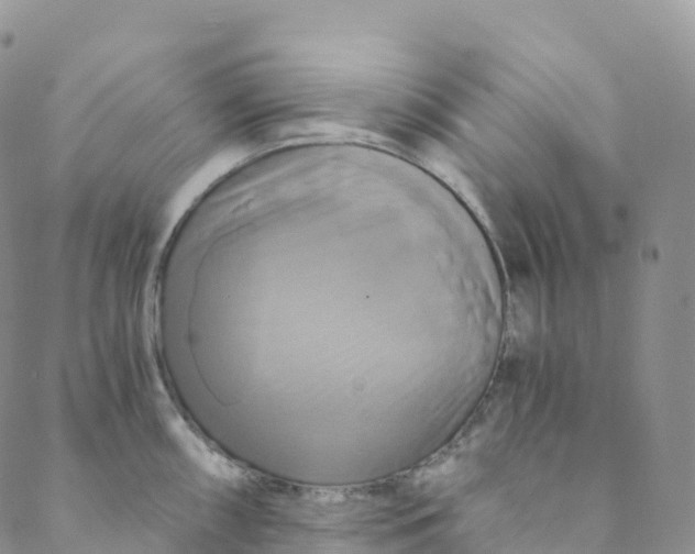 X0000088471098200706121523