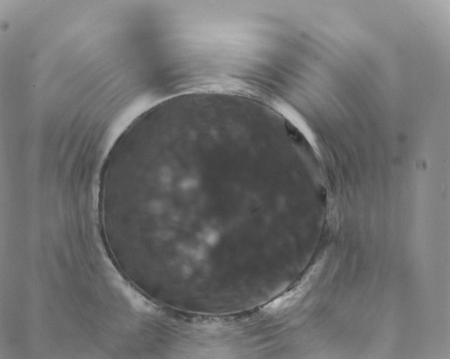 X0000088471099200706121523