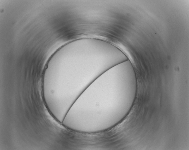 X0000088471100200706121523