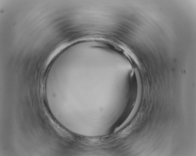 X0000088471101200706121523