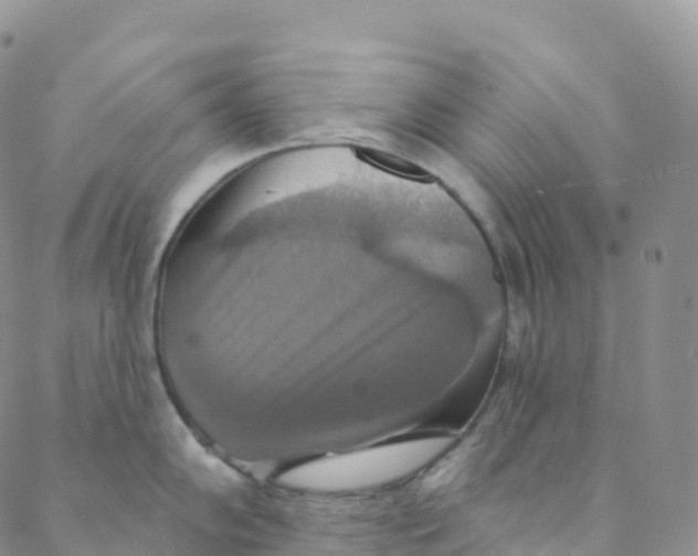 X0000088471102200706121523