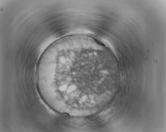 X0000088471103200706121523