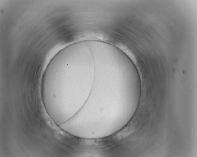 X0000088471104200706121523