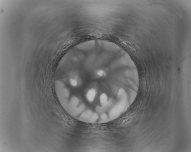 X0000088471105200706121522