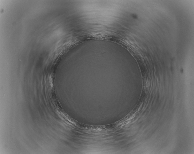 X0000088471106200706121522