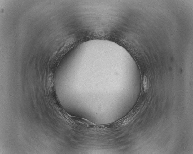 X0000088471107200706121522