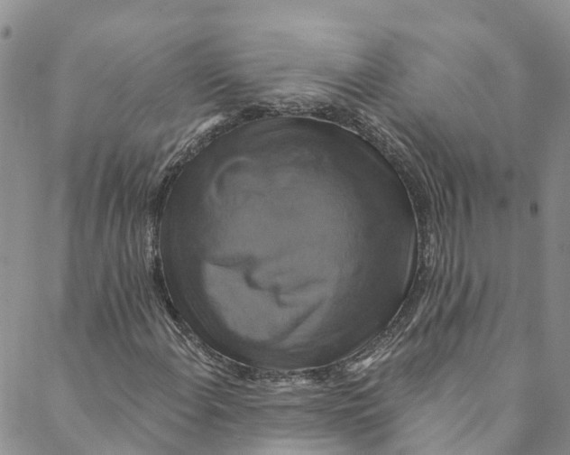 X0000088471108200706121522