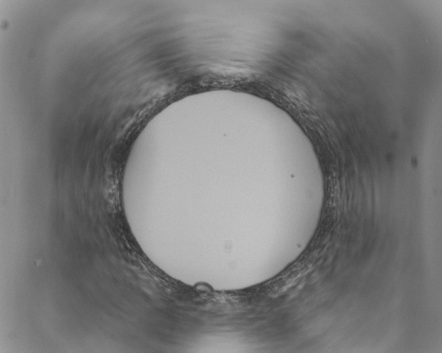 X0000088471109200706121522