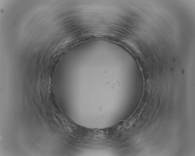 X0000088471111200706121522