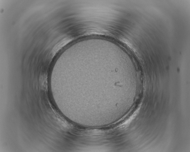 X0000088471113200706121522