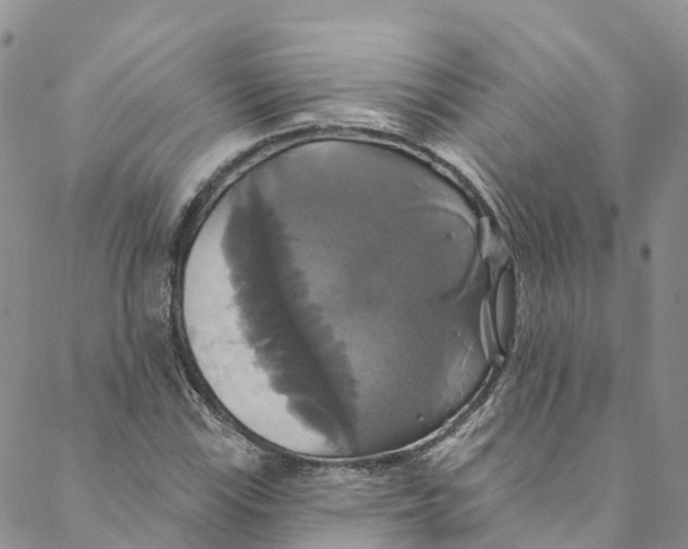 X0000088471115200706121522