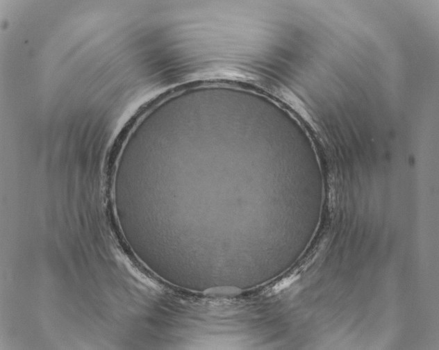 X0000088471116200706121522