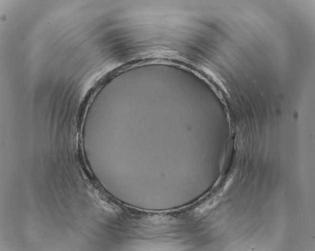 X0000088471117200706121522