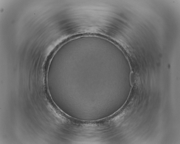 X0000088471118200706121522