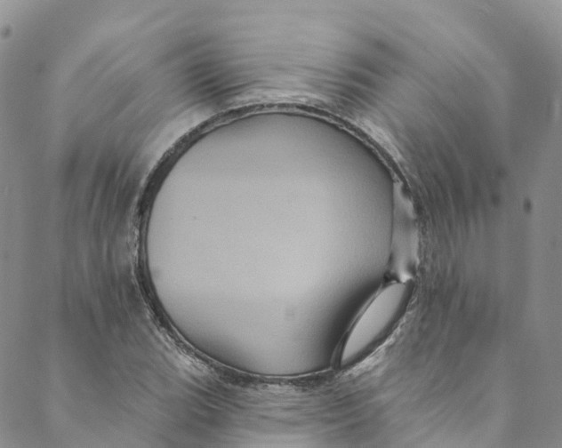 X0000088471119200706121522