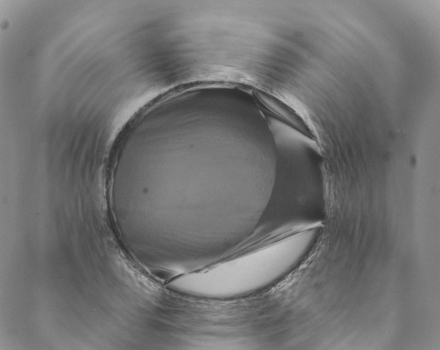 X0000088471120200706121522