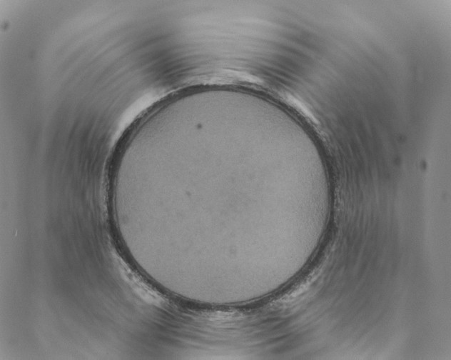 X0000088471122200706121522