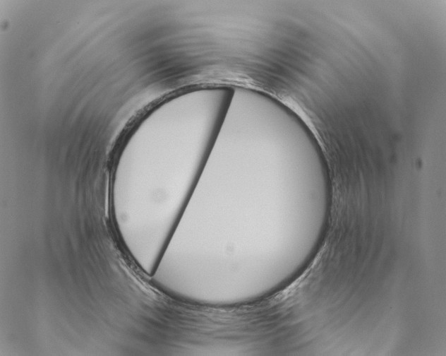 X0000088471123200706121522