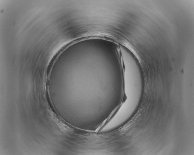 X0000088471124200706121522