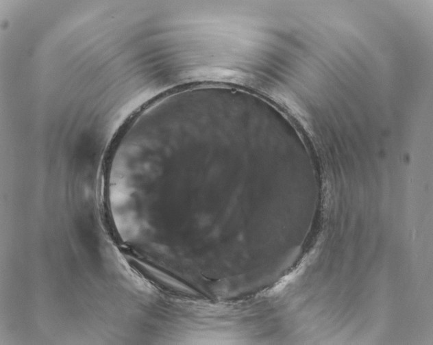 X0000088471125200706121522