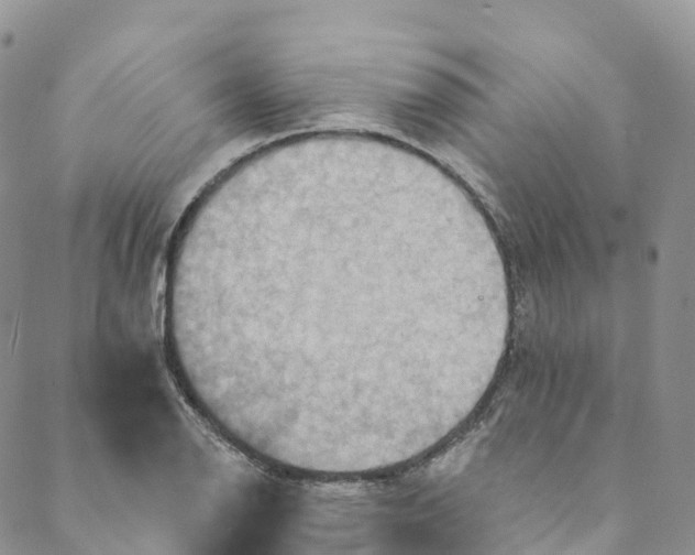 X0000088471126200706121522