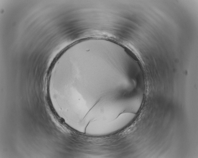 X0000088471128200706121522