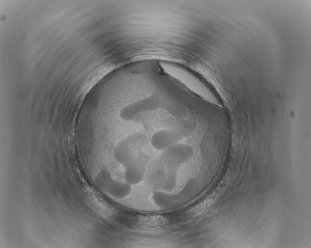 X0000088471129200706121522