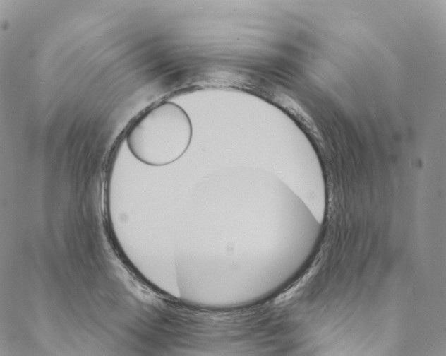 X0000088471130200706121522