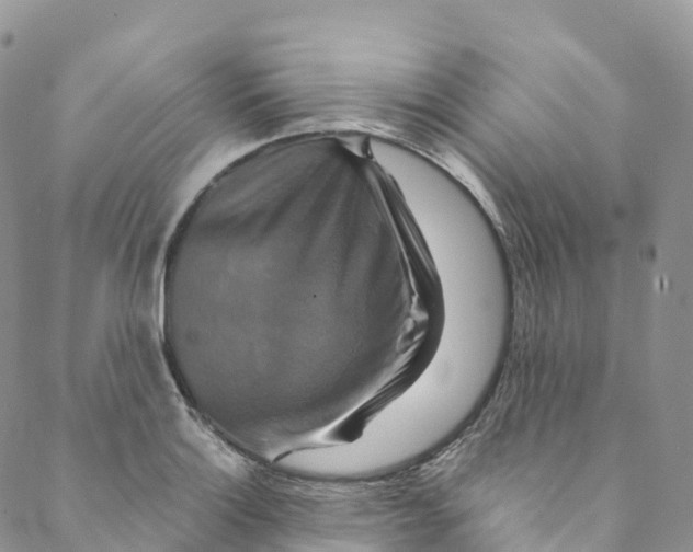 X0000088471132200706121523