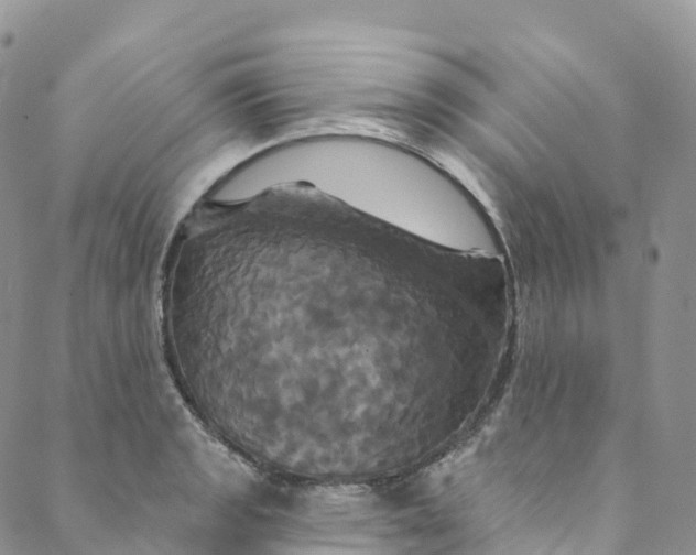 X0000088471133200706121523