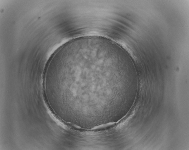 X0000088471134200706121523