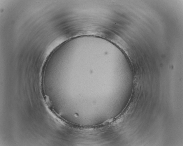 X0000088471135200706121523