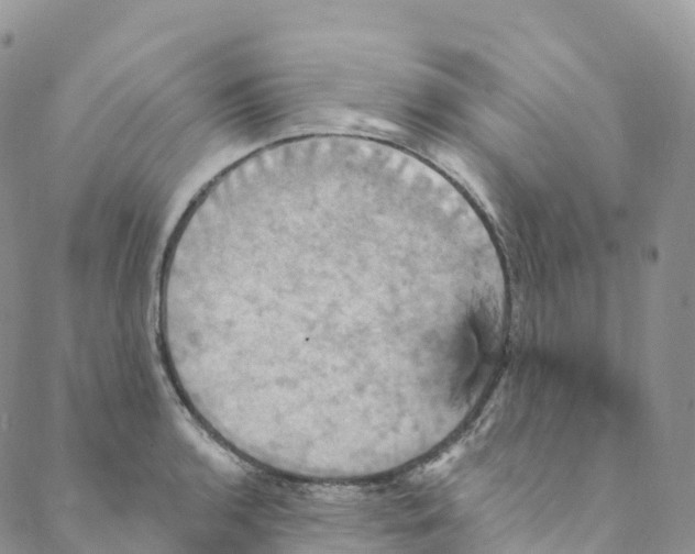 X0000088471136200706121523