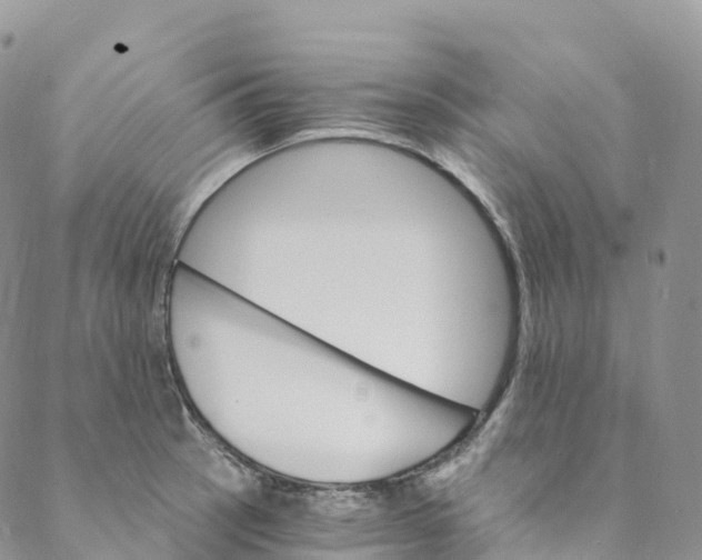 X0000088471137200706121523