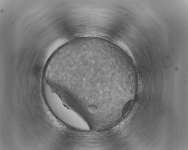 X0000088471138200706121523