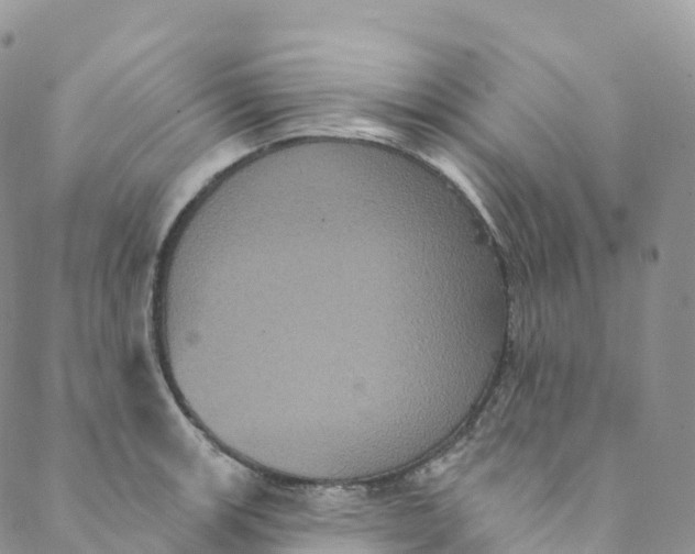 X0000088471139200706121523