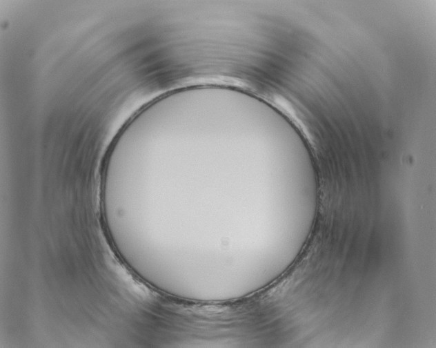 X0000088471140200706121523