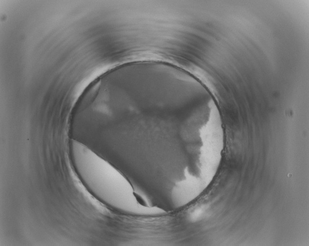 X0000088471142200706121523