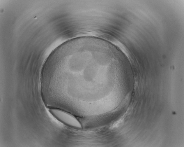 X0000088471143200706121523