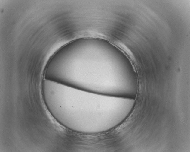 X0000088471144200706121523