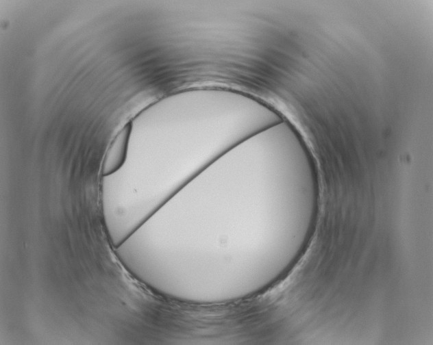 X0000088471145200706121523