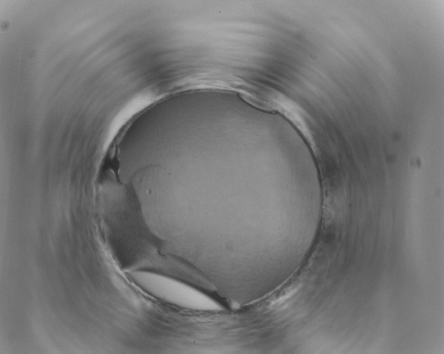 X0000088471146200706121523