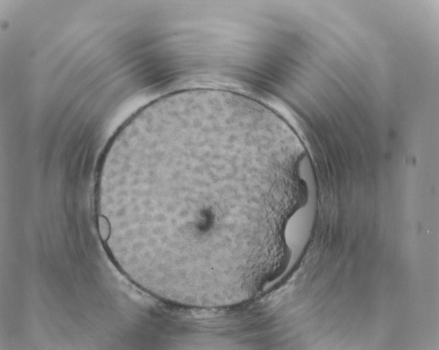 X0000088471147200706121523