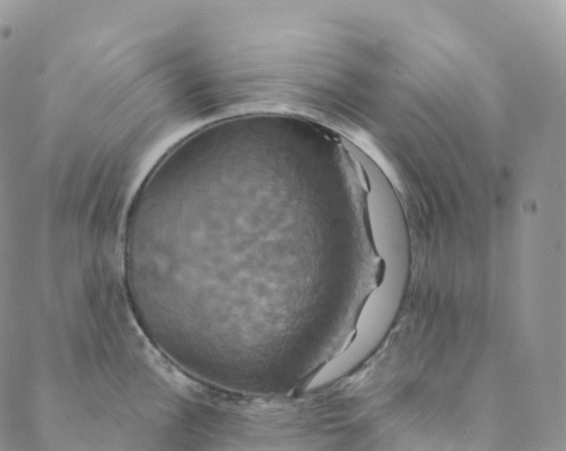 X0000088471148200706121523