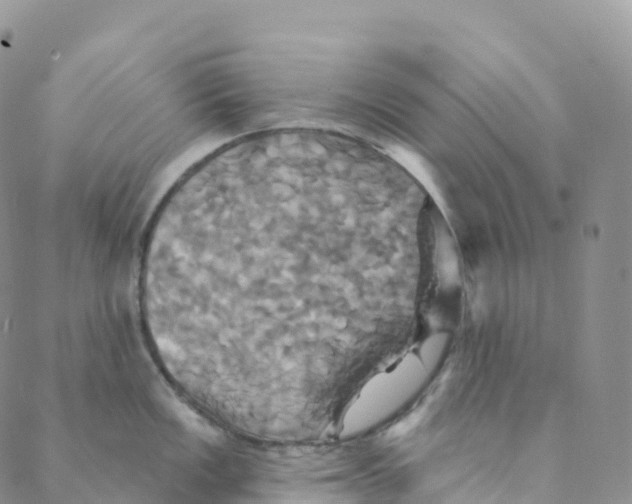 X0000088471149200706121523