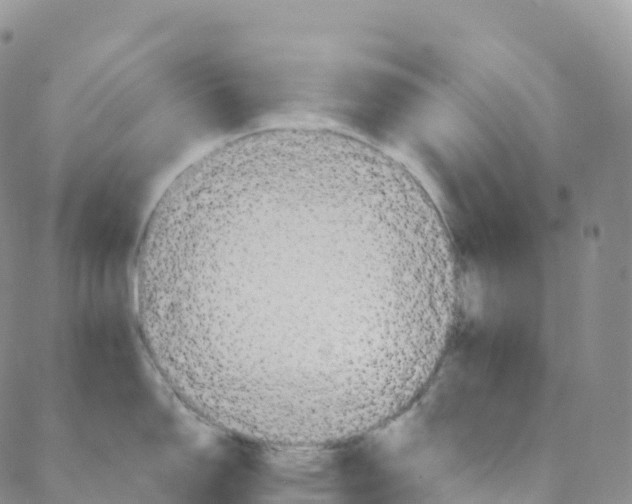 X0000088471150200706121523