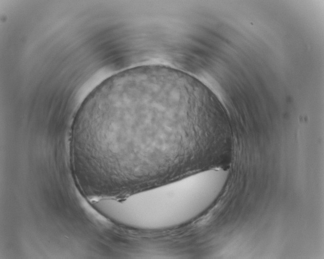 X0000088471151200706121523