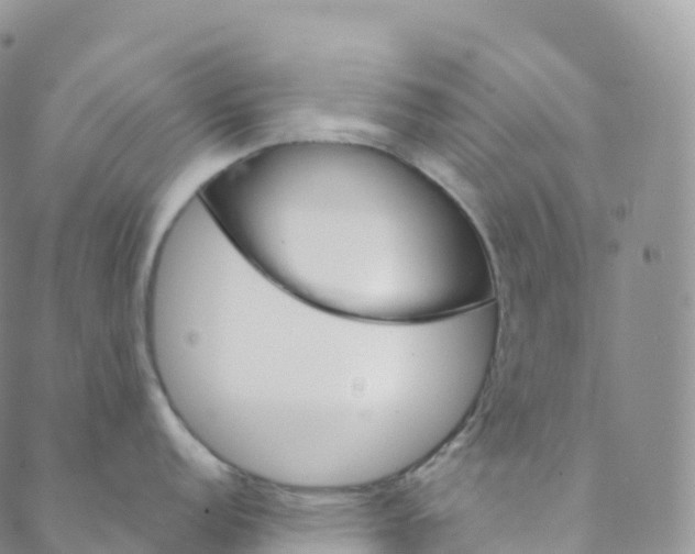 X0000088471152200706121523